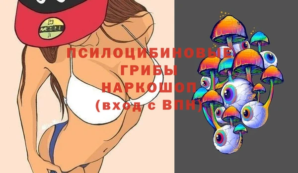 a pvp Краснослободск