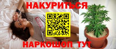ПСИЛОЦИБИНОВЫЕ ГРИБЫ Гусь-Хрустальный
