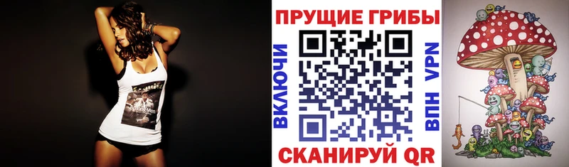Псилоцибиновые грибы ЛСД  маркетплейс клад  Гулькевичи 