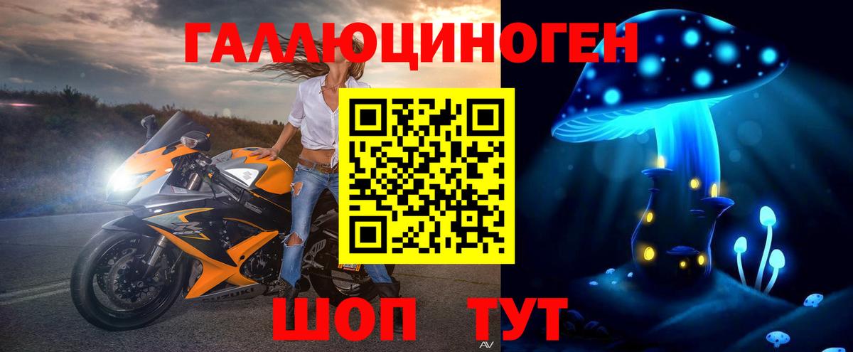 Гулькевичи  Псилоцибиновые грибы Psilocybine cubensis  Вход с VPN 
