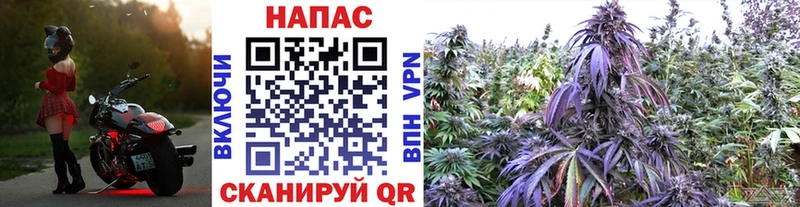Конопля THC 21%  Гулькевичи 